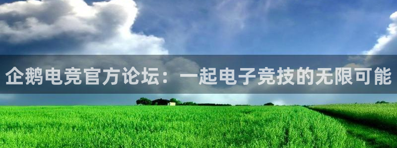MK电竞：企鹅电竞官方论坛：一起电子竞技的无限可能