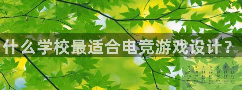 mk电子竞技：什么学校最适合电竞游戏设计？