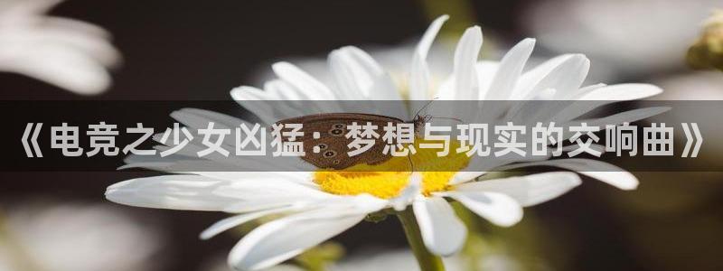 MK电竞：《电竞之少女凶猛：梦想与现实的交响曲》