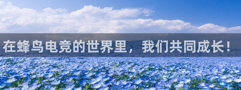 mk电子竞技：在蜂鸟电竞的世界里，我们共同成长！