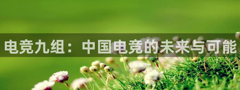 MK电竞