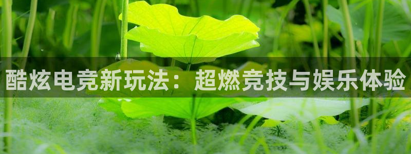 mk电子竞技：酷炫电竞新玩法：超燃竞技与娱乐体验