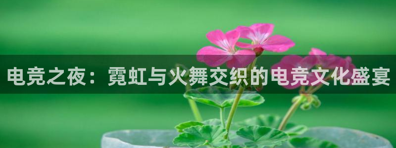 MK电竞：电竞之夜：霓虹与火舞交织的电竞文化盛宴