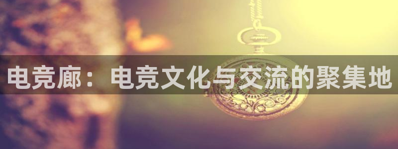mk电子竞技：电竞廊：电竞文化与交流的聚集地