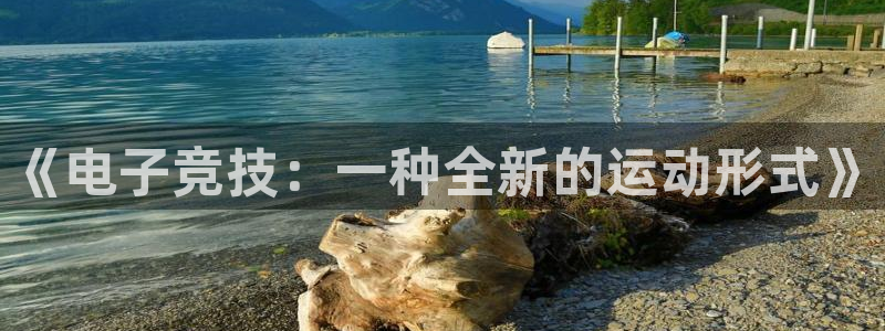 mk电子竞技：《电子竞技：一种全新的运动形式》