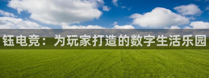 MK电竞官网：钰电竞：为玩家打造的数字生活乐园