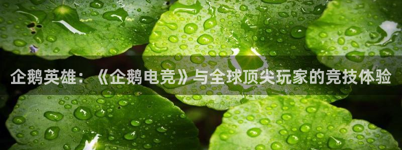 MK电竞：企鹅英雄：《企鹅电竞》与全球顶尖玩家的竞技体验
