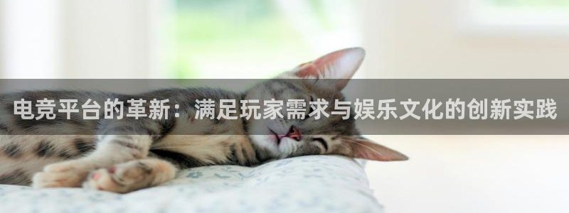 MK电竞官网：电竞平台的革新：满足玩家需求与娱乐文化的创新实践
