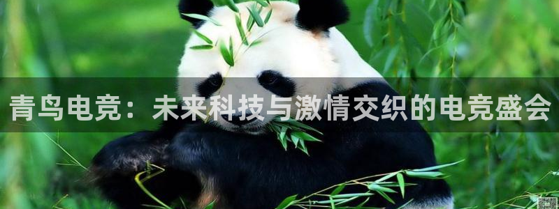 mk电子竞技：青鸟电竞：未来科技与激情交织的电竞盛会