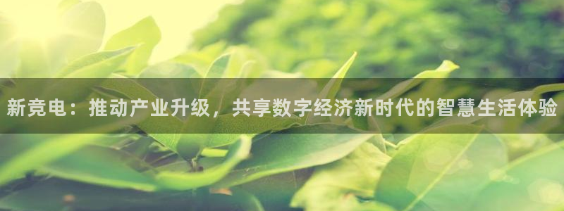 mk电子竞技：新竞电：推动产业升级，共享数字经济新时代的智慧生活体验