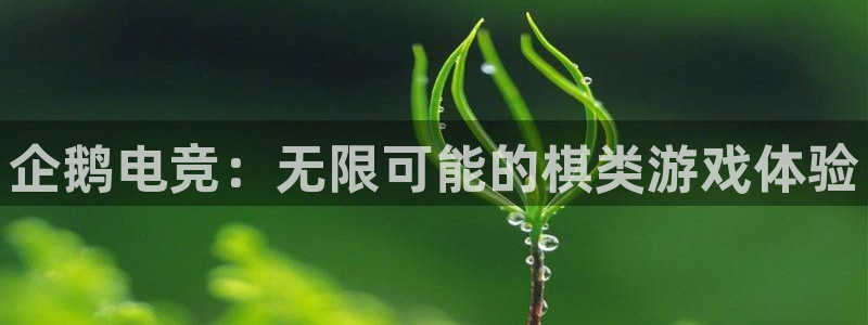 mk电子竞技：企鹅电竞：无限可能的棋类游戏体验